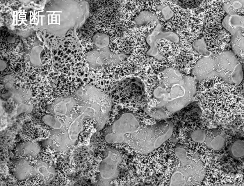 久吾烧结管式膜电镜照片 久吾烧结管式膜电镜照片