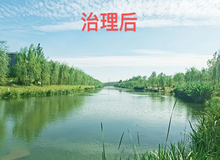 牛8体育